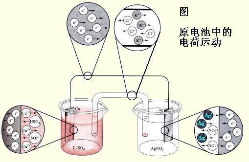 電化學丝瓜成人短视频
