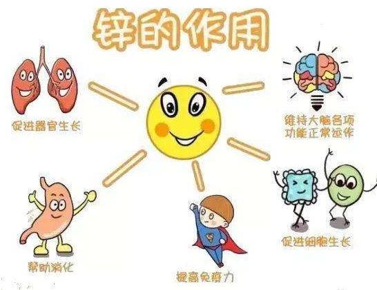 【全自動丝瓜成人短视频】廠家丝瓜黄色视频分析哪些兒童容易發生體內鋅缺乏？
